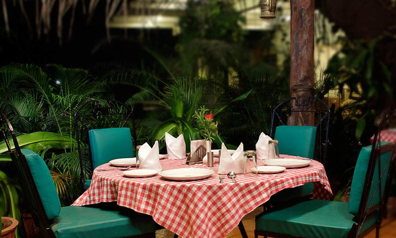 dining2